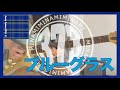 美波「ブルーグラス」ギター弾いてみた。 by あまひみかん Guitar Cover/Minami/Blue Gurasu