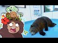 Have a Care For Our GRIZZLY BEAR...!! 🦌 Planet Zoo: Blue Ridge Wildlife Park • #13
