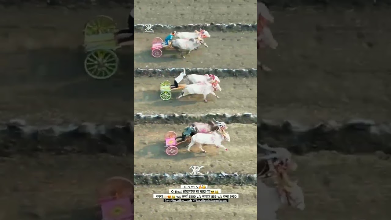 overtake king bakasur kadegaon hindakesari semifinal 3