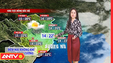 Dự Báo Thời Tiết Tối Ngày 9/1: Không Khí Lạnh Tăng Cường, Miền Bắc Có Mưa Phùn Lẫn Sương Mù | ANTV