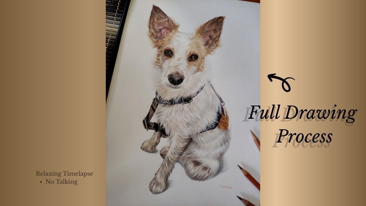 A Realistic Pencil Portrait of Fanta | Full Drawing Process