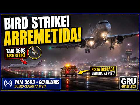 Bird strike envolve avião no Aeroporto de Guarulhos e causa arremetida durante a noite