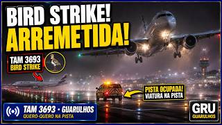 BIRD STRIKE CLOSES THE RUNWAY PLANE GO-AROUND AT GUARULHOS