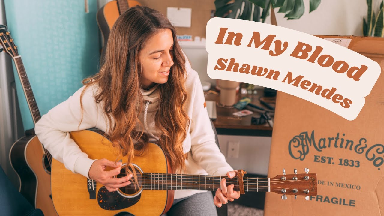 Shawn Mendes "In My Blood" | Guitar Tutorial