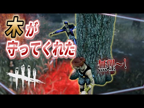 木でチェイス。木が守ってくれたシーン【DBD 】