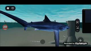thresher shark cry babies numberblocks