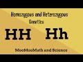 Homozygous vs Heterozygous Genotype