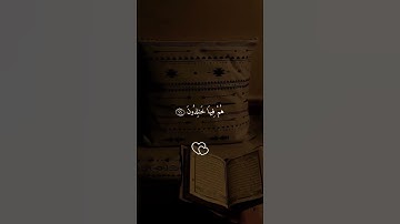 تلاوة فوق الوصف للقاريء الشيخ ماهر المعيقلي #quran #اكسبلور #المصحف #ماهر_المعيقلي #تيك_توك