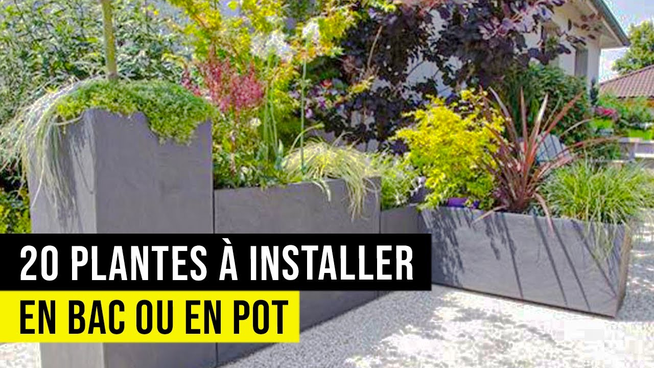 5 plantes à fleurs pour aménager un jardin ombragé