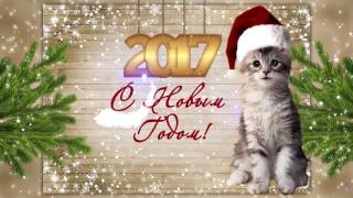 Поздравление с новым 2017 годом! От котенка  #4
