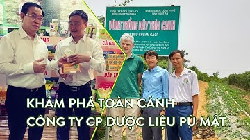 Khám phá toàn cảnh Công ty cổ phần Dược Liệu Pù Mát