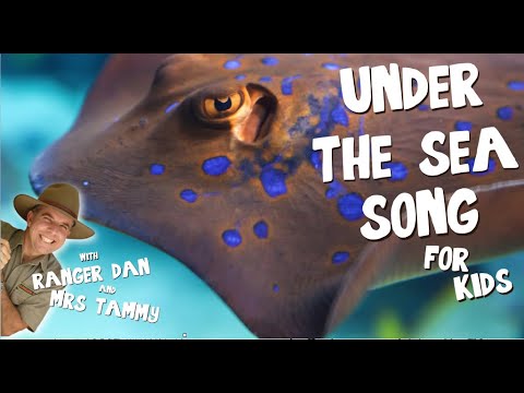 UNDER THE SEA SONG FOR KIDS | Under the Sea Songs | Animal Songs | Kids Songs | Creation Connection