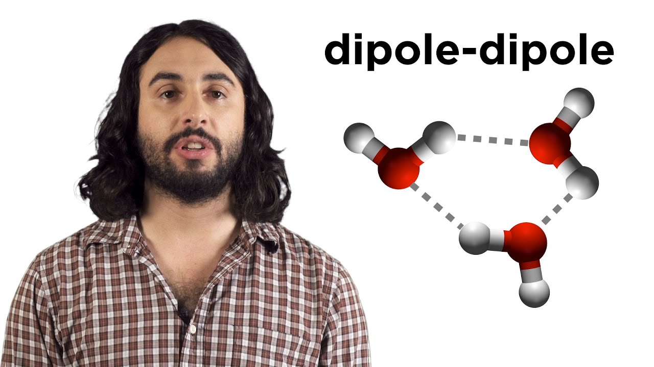 Intermolecular Forces And Boiling Points