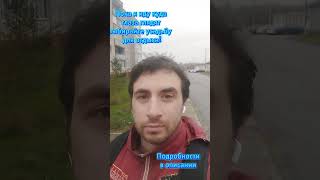 Усадьба Беларуси ЖДЁТ именно ТЕБЯ! #рекомендации #усадьба #тренды