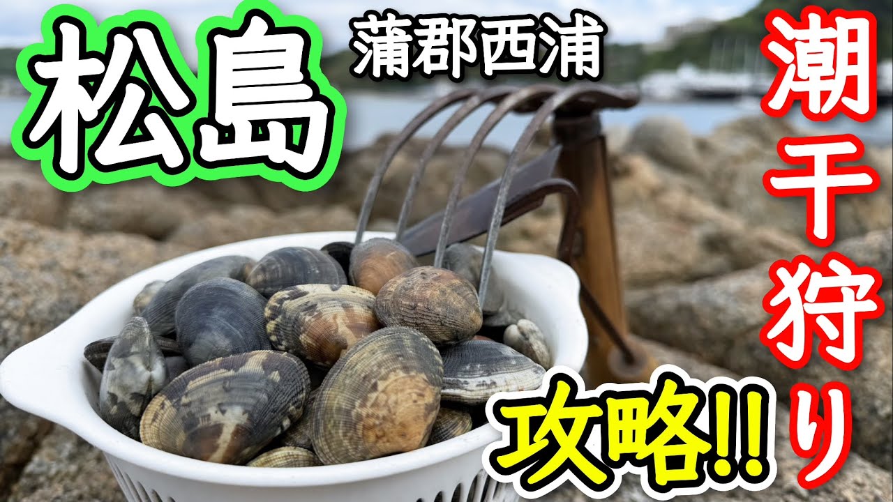 Clam Digging] I absolutely want to conquer this! Delicious clams