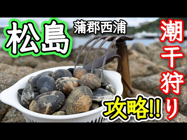 Clam Digging] I absolutely want to conquer this! Delicious clams