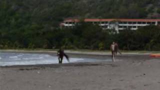 Cuba 2009 - 4