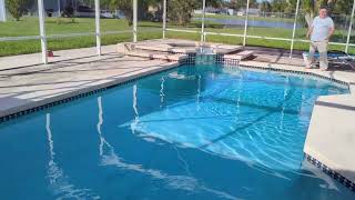 Roof Rat Jumps In My Pool And Goes For A Swim Omg, She Is Fast