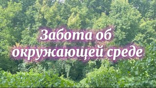 Забота об окружающей среде. Социальный ролик.