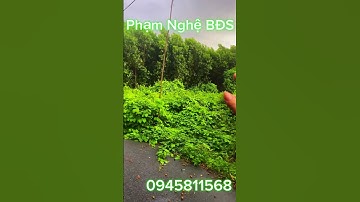 🔥 Bán hơn 1000m² vườn nhãn mặt tiền đường - Vũng tàu giá chỉ 620 triệu! #bánđấtgiárẻ #bán đất vườn