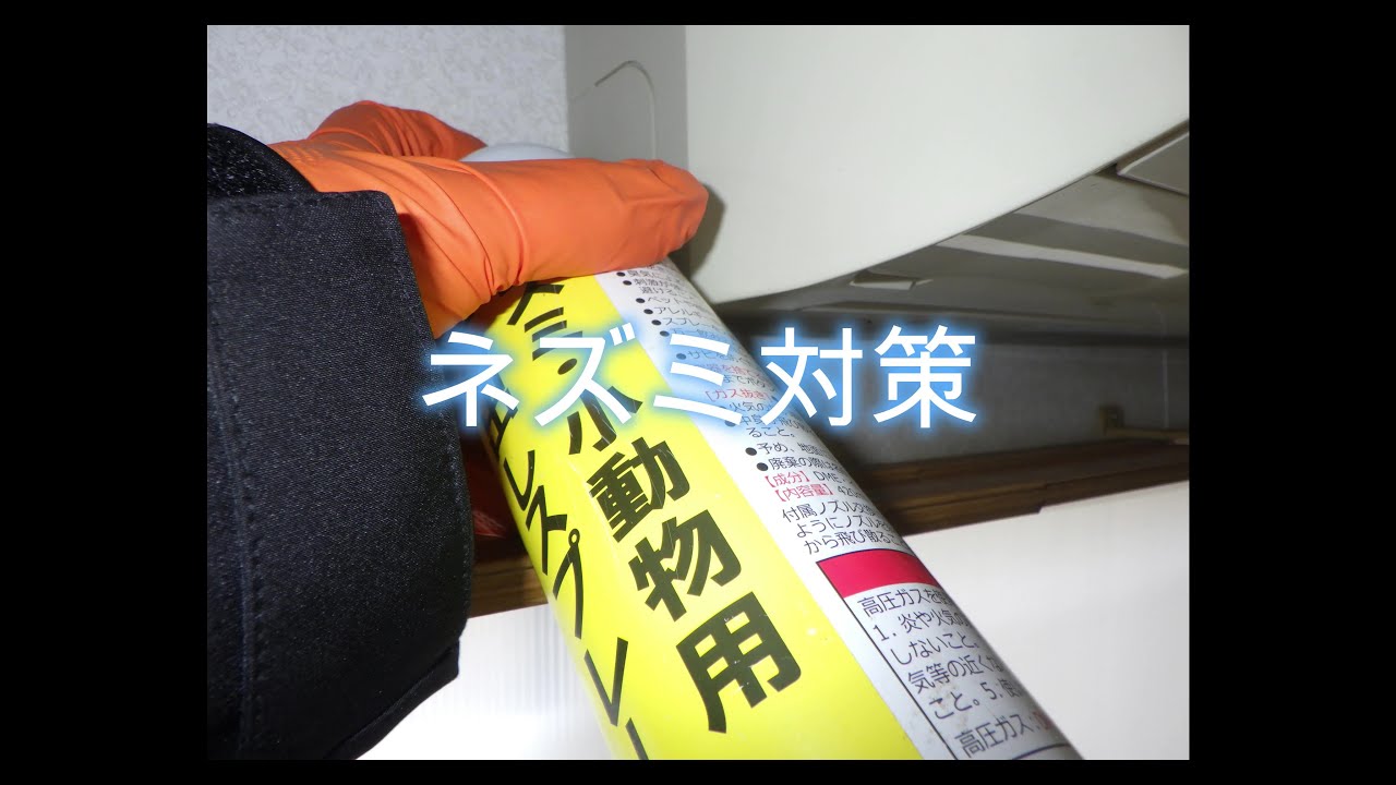 エアコンに侵入する ネズミ対策！ 2025年3月8日 富山県 - YouTube