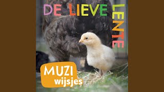 Musje Tjilp