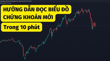 Hướng Dẫn Đọc Biểu Đồ Chứng Khoán MỚI NHẤT trong 10 phút