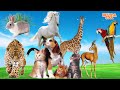 Spot the cutest animals on the planet rabbit horse deer cat dog parrot giraffe