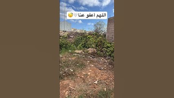 تلاوة قرآن كريم تريح القلب وتزيل الهموم | راحة نفسية قصيرة
