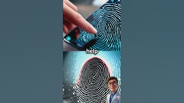 Why Do We Have Fingerprints