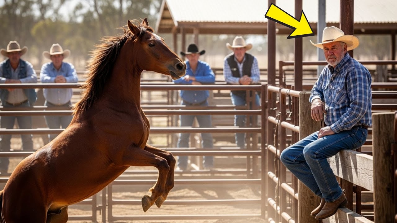 EL CABALLO APARECIÓ EN LA SUBASTA SIN REGISTROS. AL VERLO, EL VAQUERO SINTIÓ QUE ALGO ESTABA MAL.