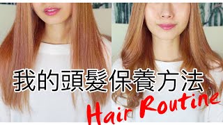 我的頭髮保養方法feat.南法香頌 Min's hair routine