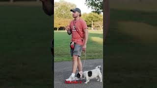 Changing her life with FREE dog training!