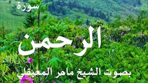 سورة الرحمن بصوت الشيخ / ماهر المعيقلي 55