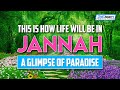 This is life in jannah  a glimpse of paradise