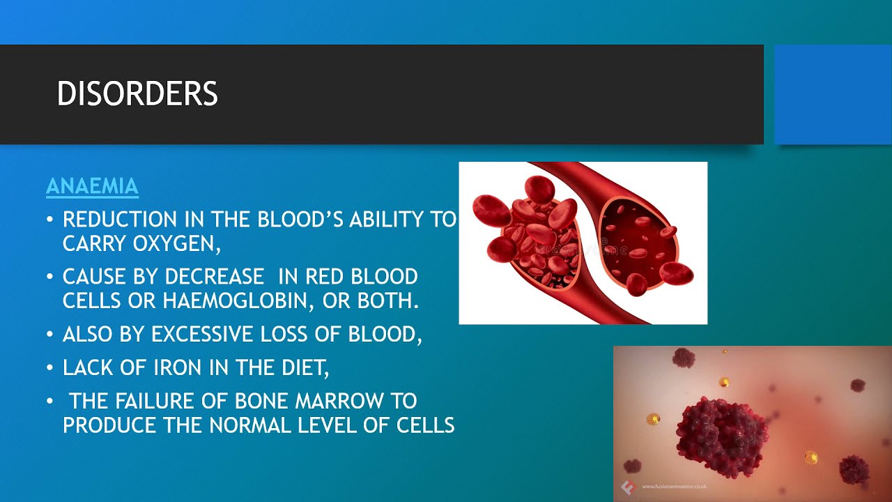 CARDIOVASCULAR SYSTEM understood by Celena Slevin