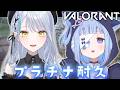 【#valorant 】ゴールド帯から抜け出せるのか...!!プラチナ耐久ヴァロ!【雪車町ましろ/猫幻ミャオ】#エアプロ#新人Vtuber