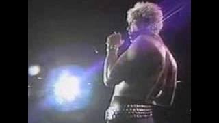 Billy Idol- Flesh for Fantasy Live