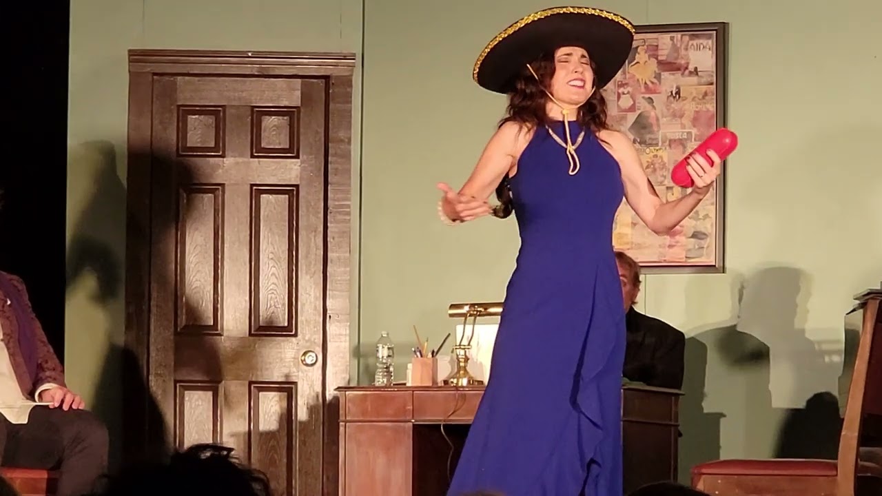 The Audition - Act 1 part 2, Delaware Valley Opera Original Production