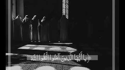 قرآن كريم بصوت سالم الرويلى💖||حالات واتس اب قرآن|| حالات واتس