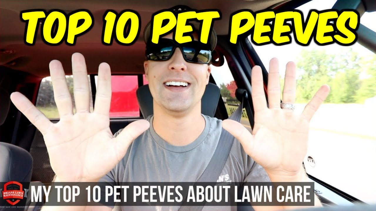 Top 10 Pet Peeves In Lawn Care 10 Things I Can't Stand In The Lawn Business!! YouTube