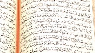 Program Tv Tabalong Tadarus Al Quran