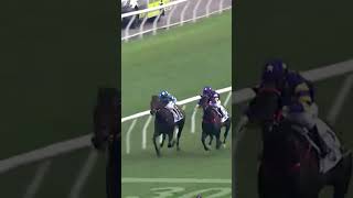 10 | 5 | GOLD PATCH | Z Purton #Purton #Horse #Racing #Sport #Results #賽馬結果 #马會 #油管 #赛马结果