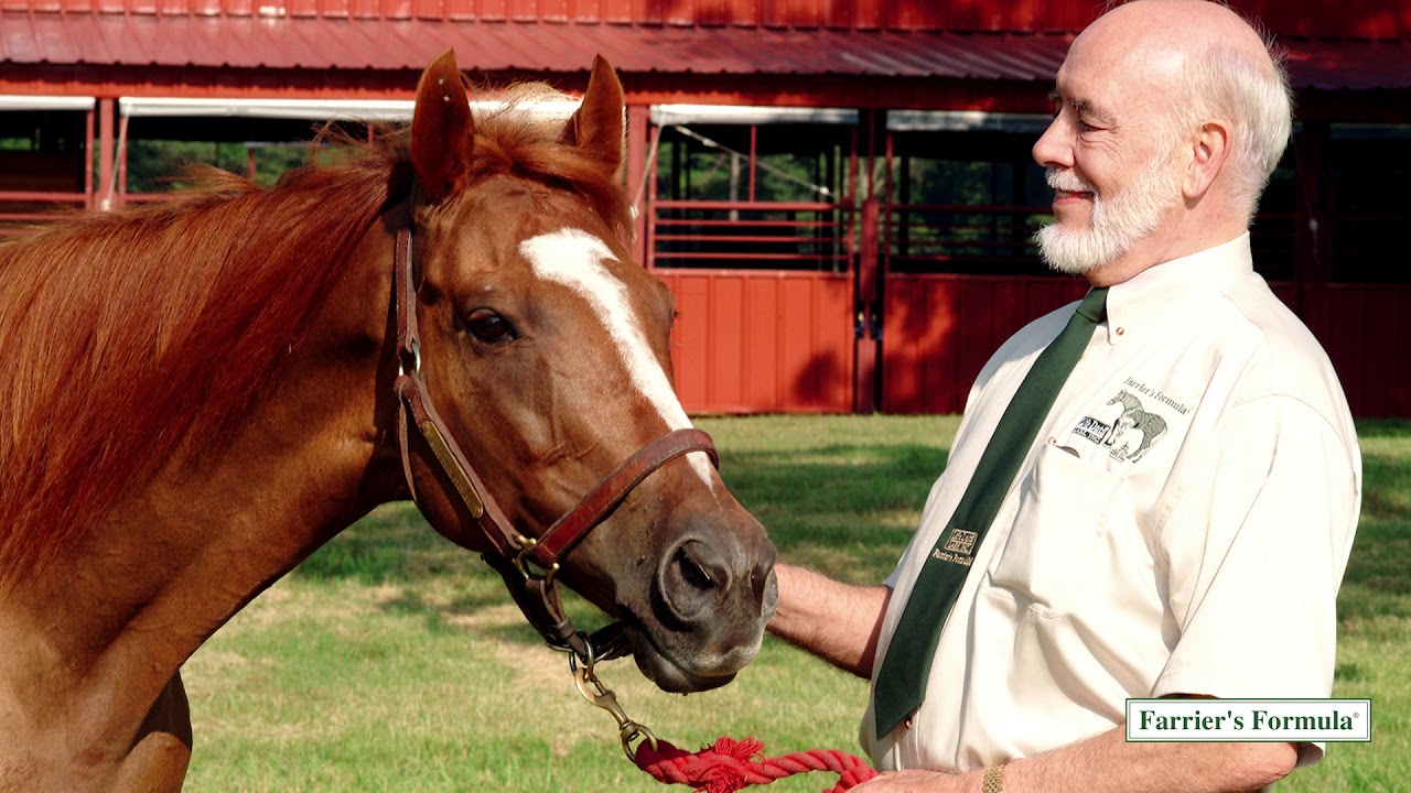 Why Does Farrier s Formula Work UK YouTube