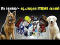 😍😎 Rs 14482/- രൂപ ചിലവാക്കി വാങ്ങിയ DOG ACCESSORIES : FOOD : SUPPLIMENTS : TOYS : LEASH AND LOT MORE