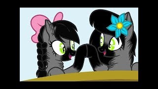 Пони клип чёрная кошка