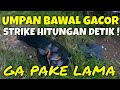 UMPAN GREGET IKAN BAWAL TIDAK PERLU RACIKAN DIJAMIN HITUNGAN DETIK LANGSUNG STRIKE DI MAKAN