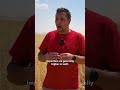 Ever had to deal with lodging? #lodging #harvest #combine #oats