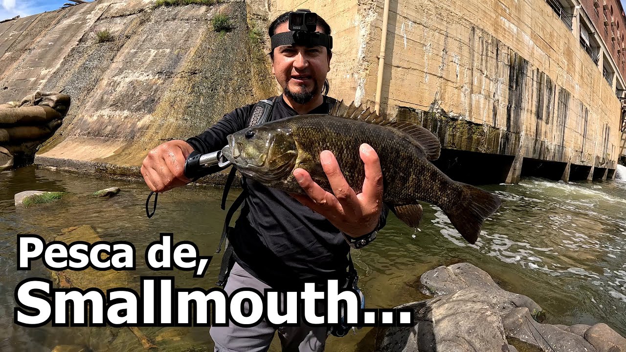 Pesca de Smallmouth Bass en  un Rio de Montaña en Virginia.