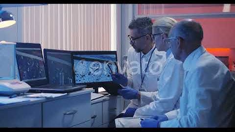 Scientists Watching Monitor and Analyzing | Stock Footage - Envato elements